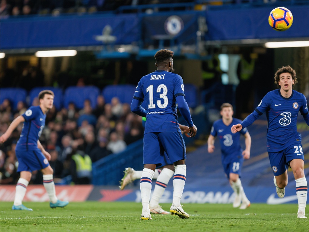 带来什么 带来什么